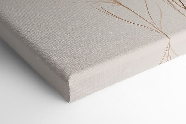 Delicate feathers in soft tones