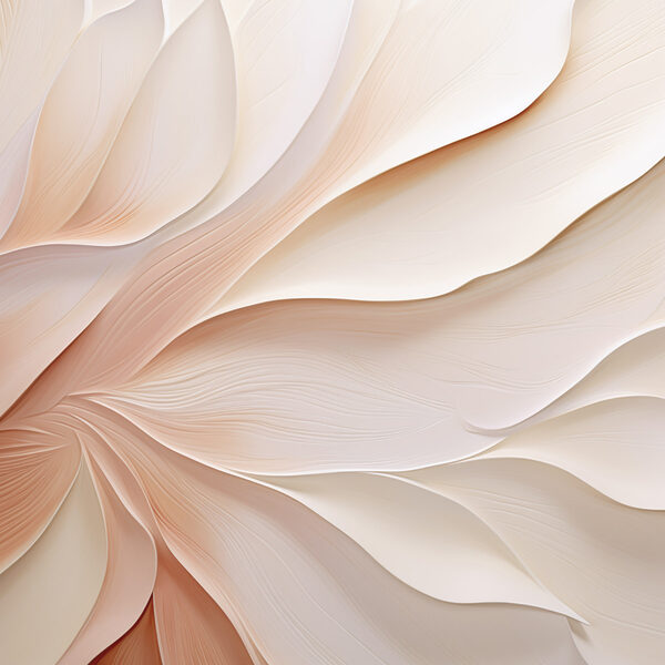 Soft petals in gentle hues Soft petals in gentle hues