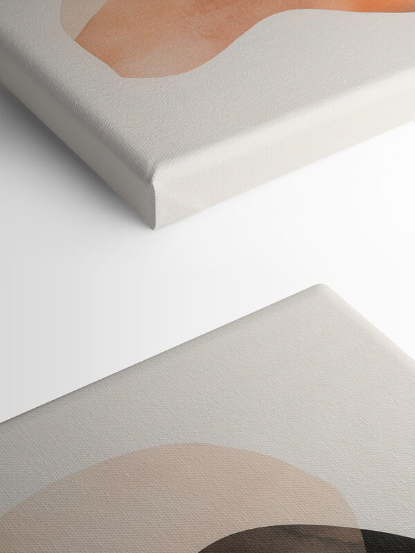 Soft curves in warm tones