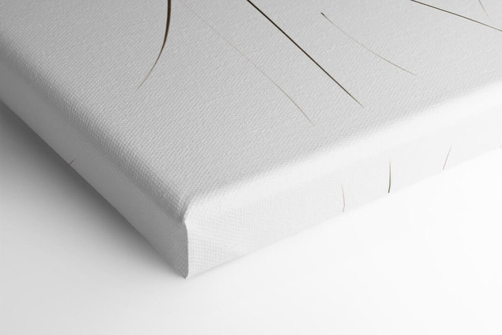 Calm beauty in soft strokes Calm beauty in soft strokes