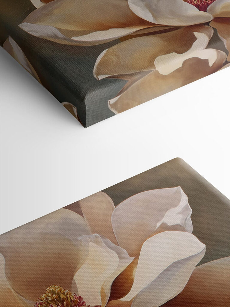Soft blooms in warm tones Soft blooms in warm tones