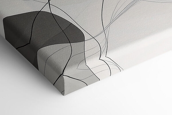 White and black background with black lines