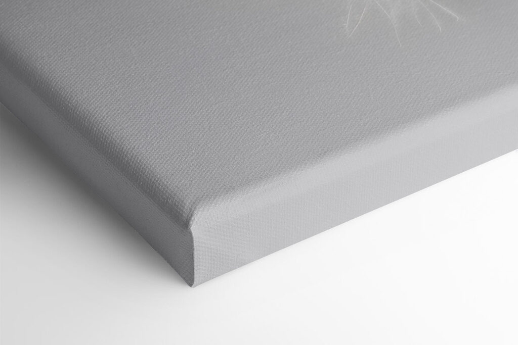 White feather on a white background White feather on a white background