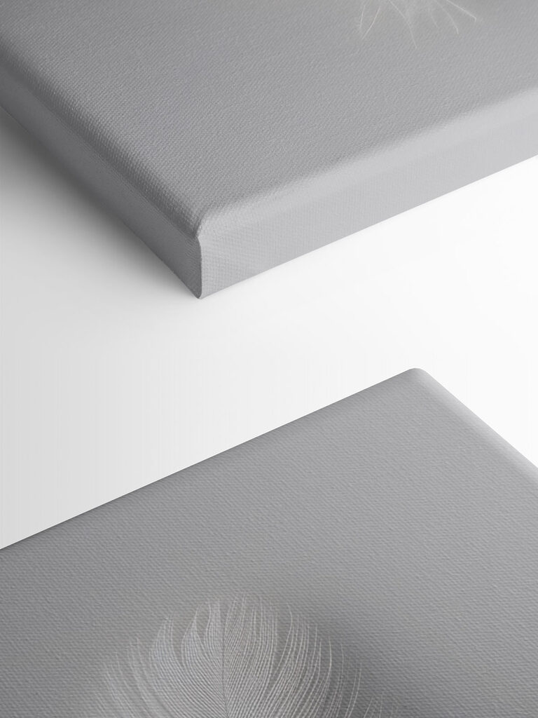 White feather on a white background White feather on a white background