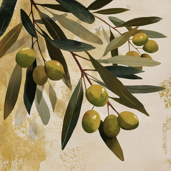 Green olives on a branch Green olives on a branch