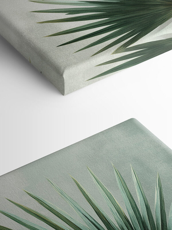 Nature's intricate green foliage design