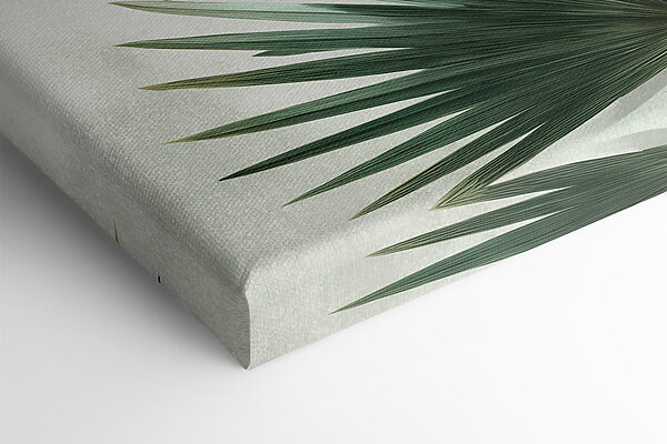 Nature's intricate green foliage design