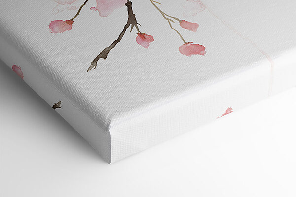 Watercolor of pink flowers Watercolor of pink flowers