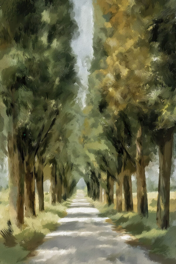 Road lined with trees Road lined with trees
