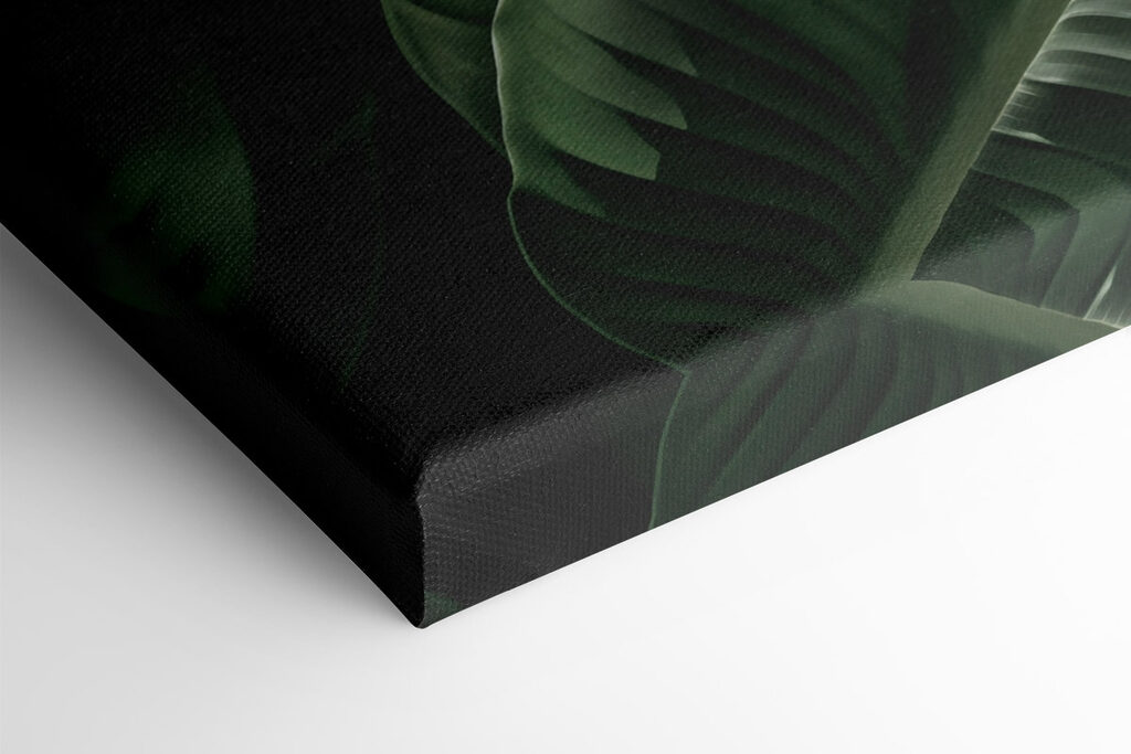 Lush green leaves in gentle light