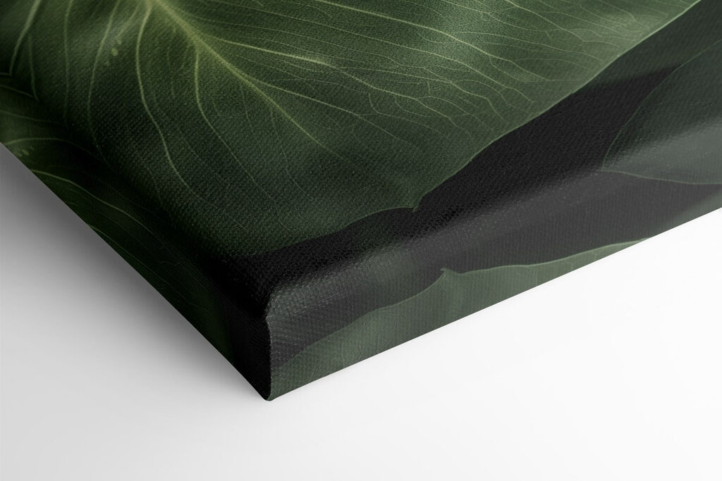 Lush green leaves in natural light