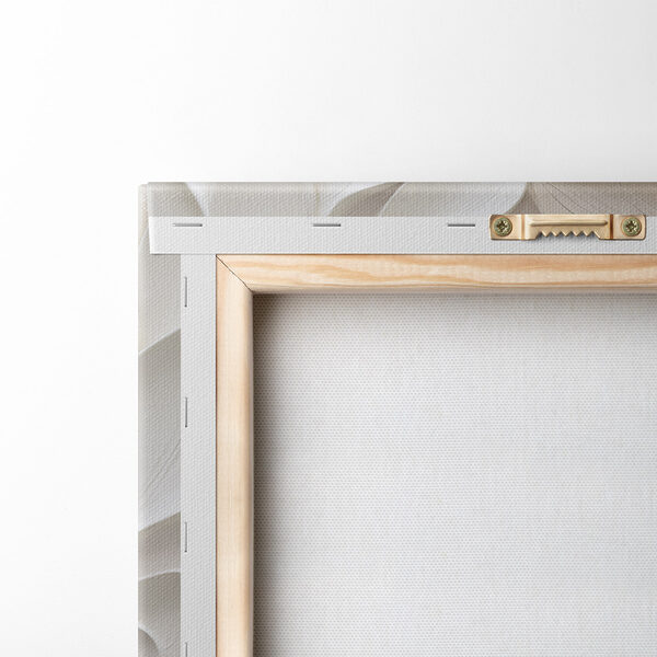 Soft, flowing shapes in subtle hues Soft, flowing shapes in subtle hues
