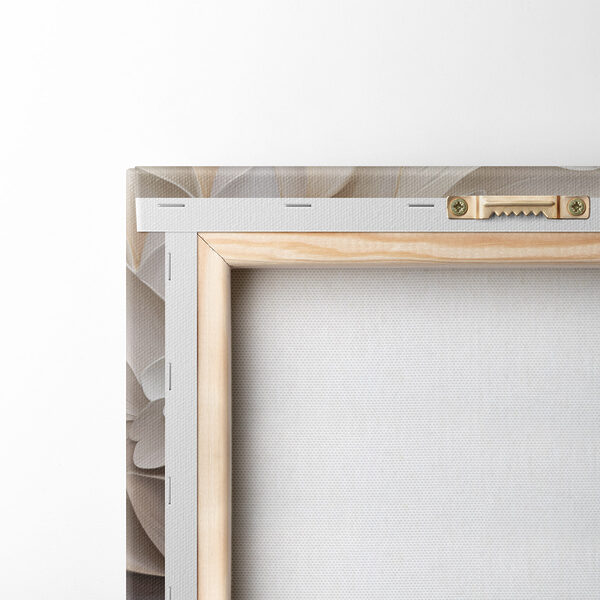 Delicate layered petals in soft hues