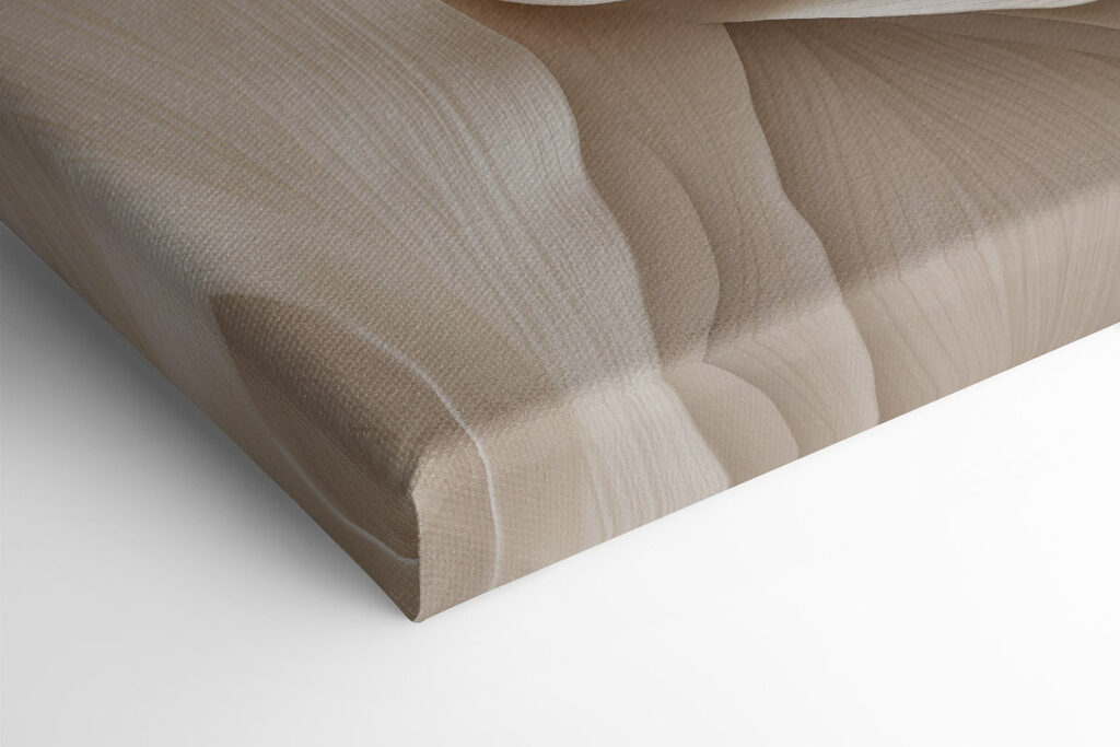 Soft curves of natural elegance