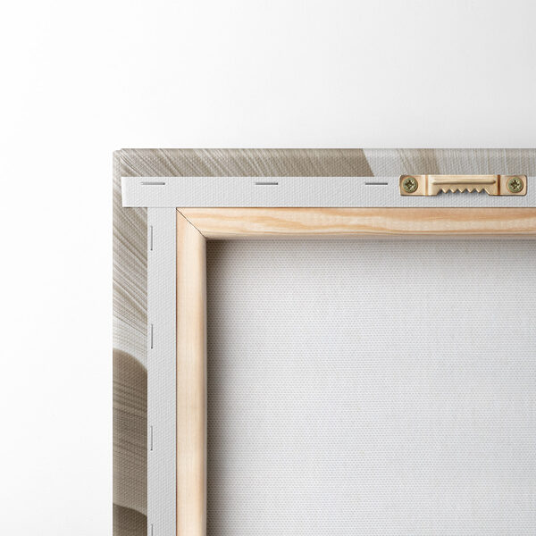 Soft curves of natural elegance