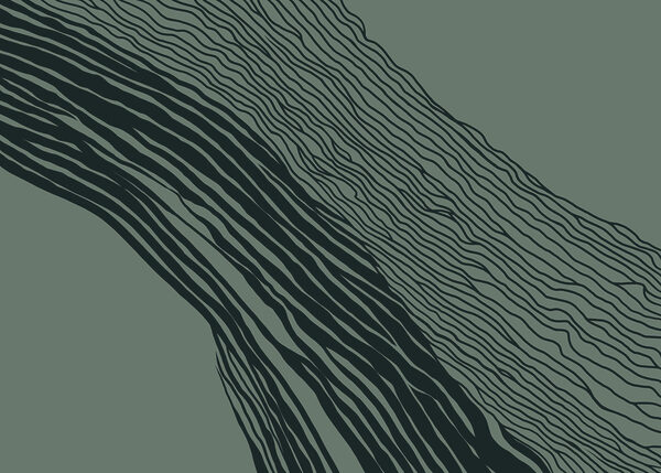 Black and white lines on a green background Black and white lines on a green background