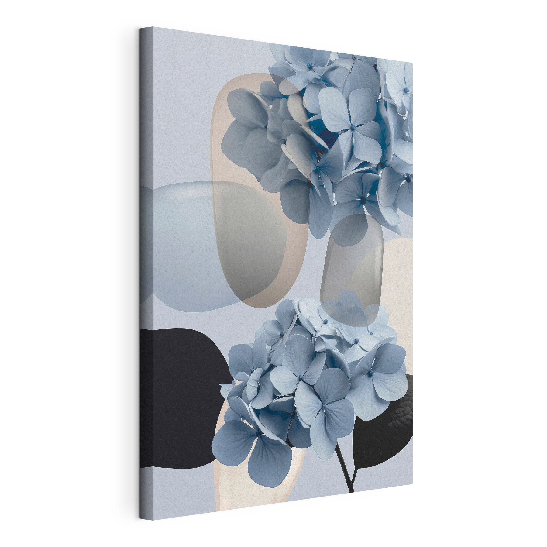 Group of blue flowers