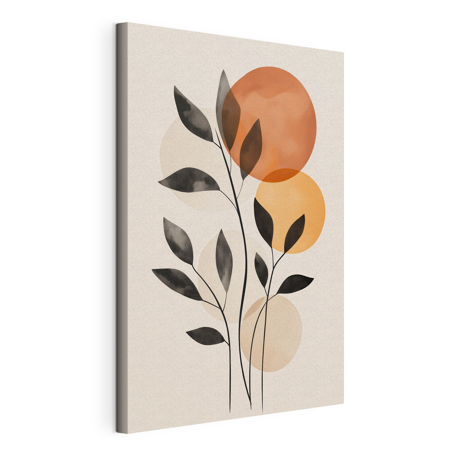 Plant with leaves and circles Plant with leaves and circles