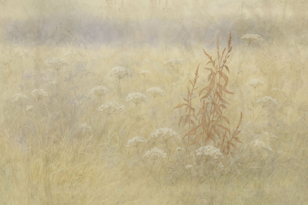 Field of flowers and grass