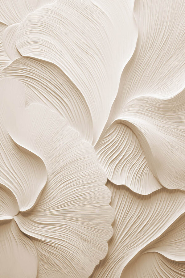 Gentle curves and soft lines abound