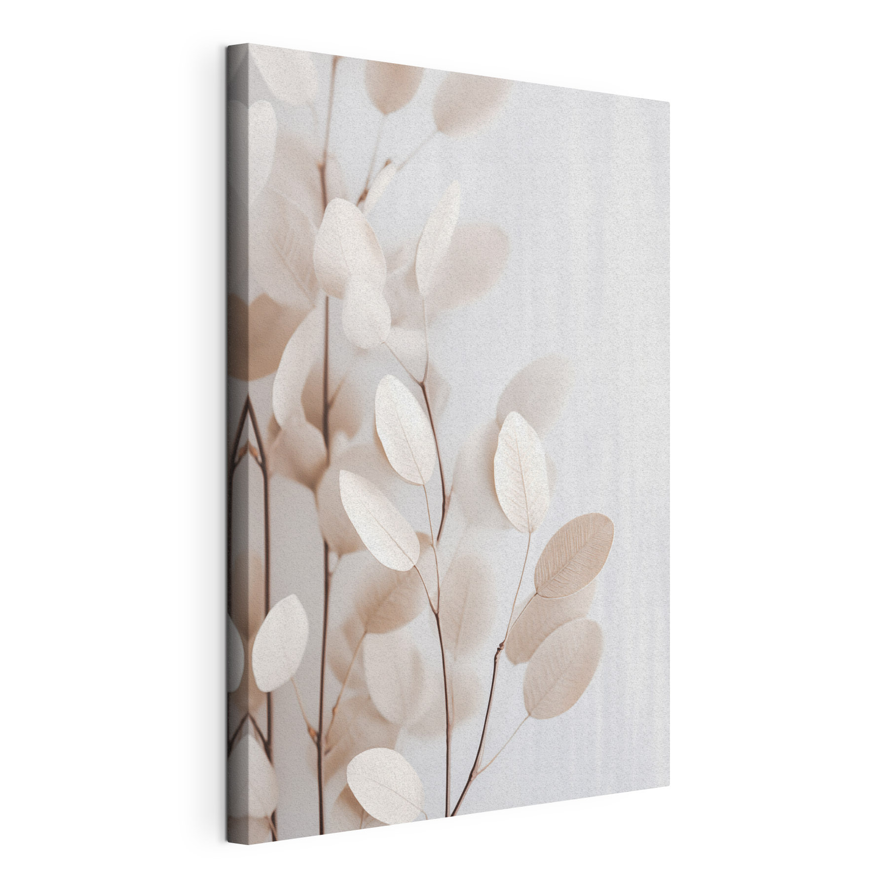 Delicate leaves against a soft background