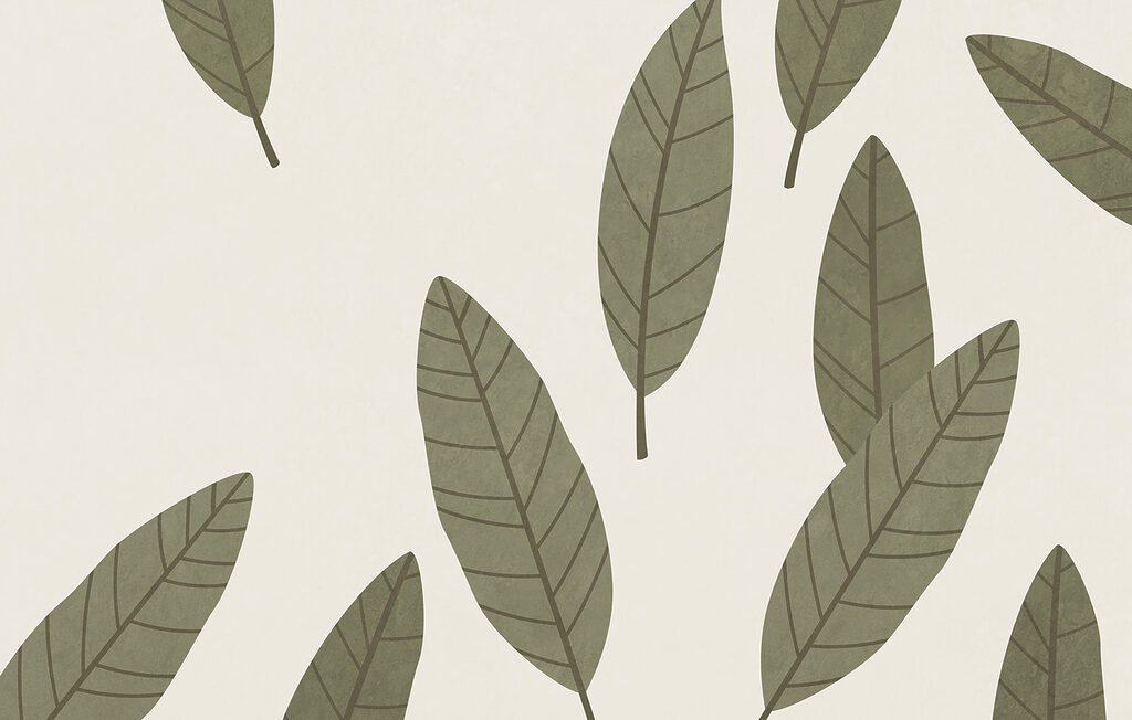 Group of leaves on a white background
