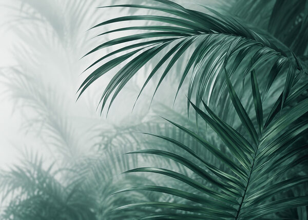 Fresh foliage in a serene setting