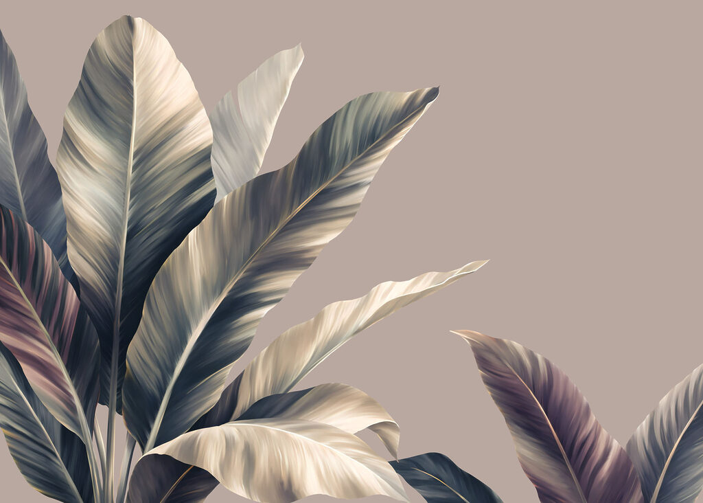 Lush leaves with soft hues displayed Lush leaves with soft hues displayed