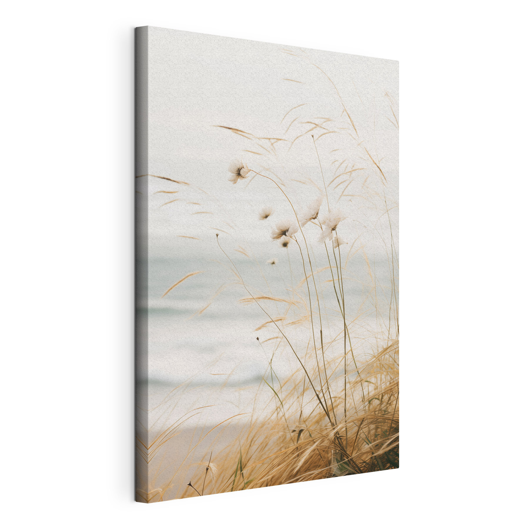 Gentle breeze through tall grasses Gentle breeze through tall grasses