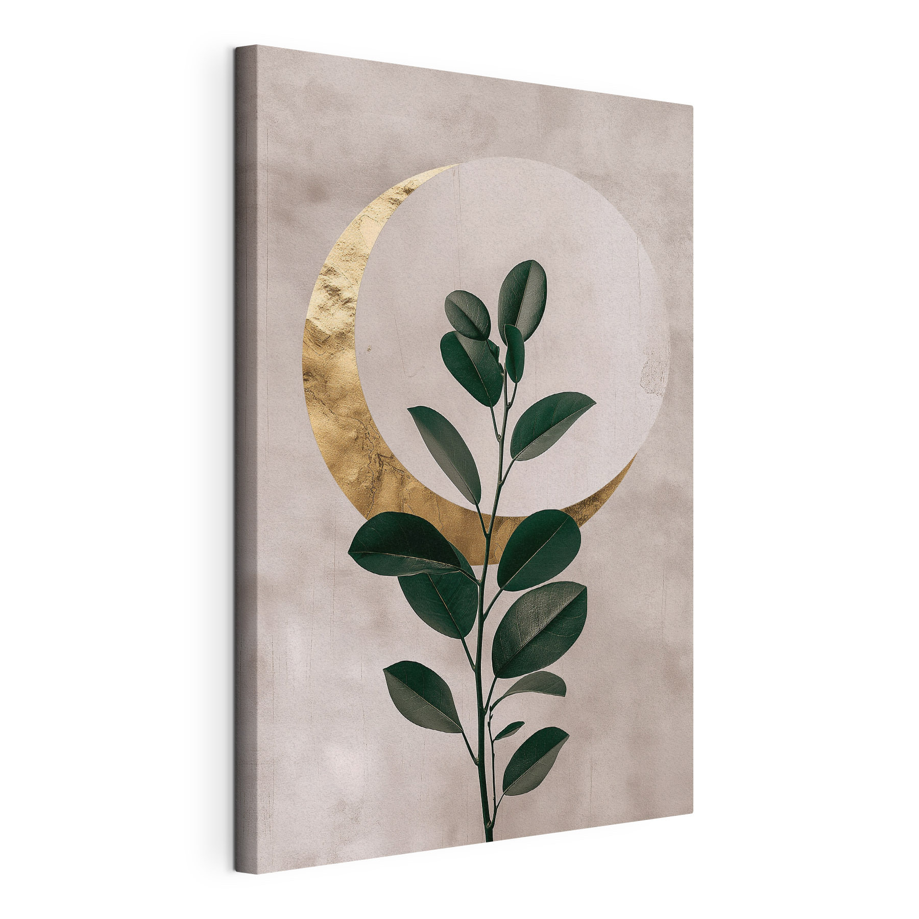Plant with leaves and a moon Plant with leaves and a moon