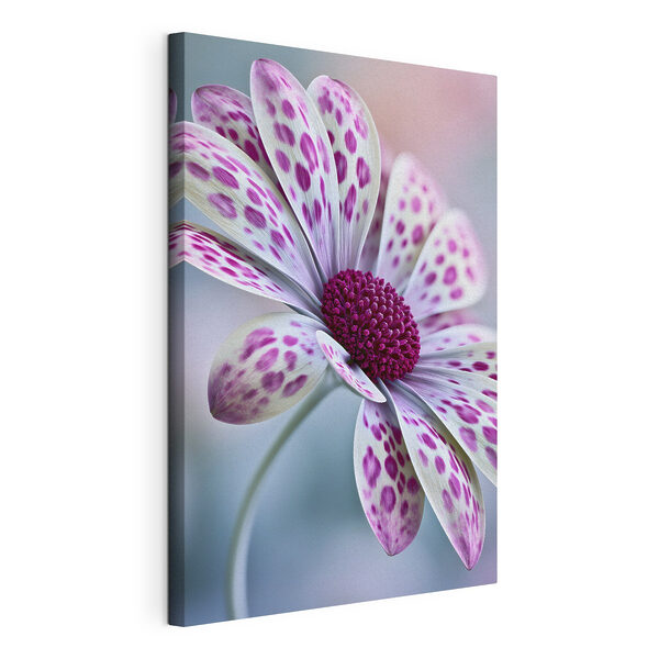 Wandbilder Elegante Blume mit lebhaften Mustern (Artikelnummer: s49866) Wandbilder Wandbilder Elegante Blume mit lebhaften Mustern (Artikelnummer: s49866)
