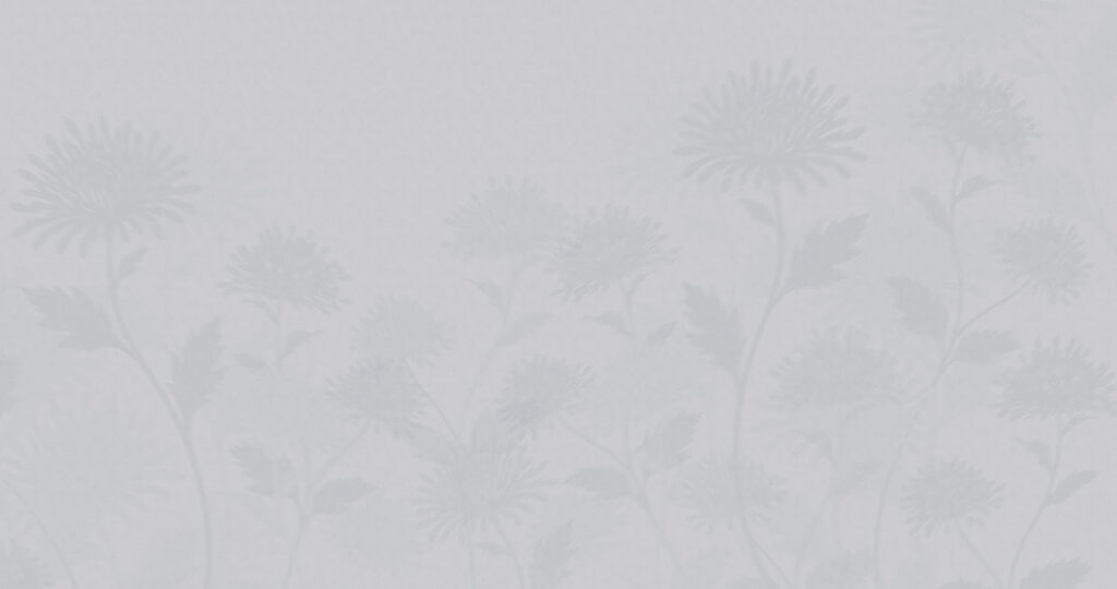 White background with flowers White background with flowers