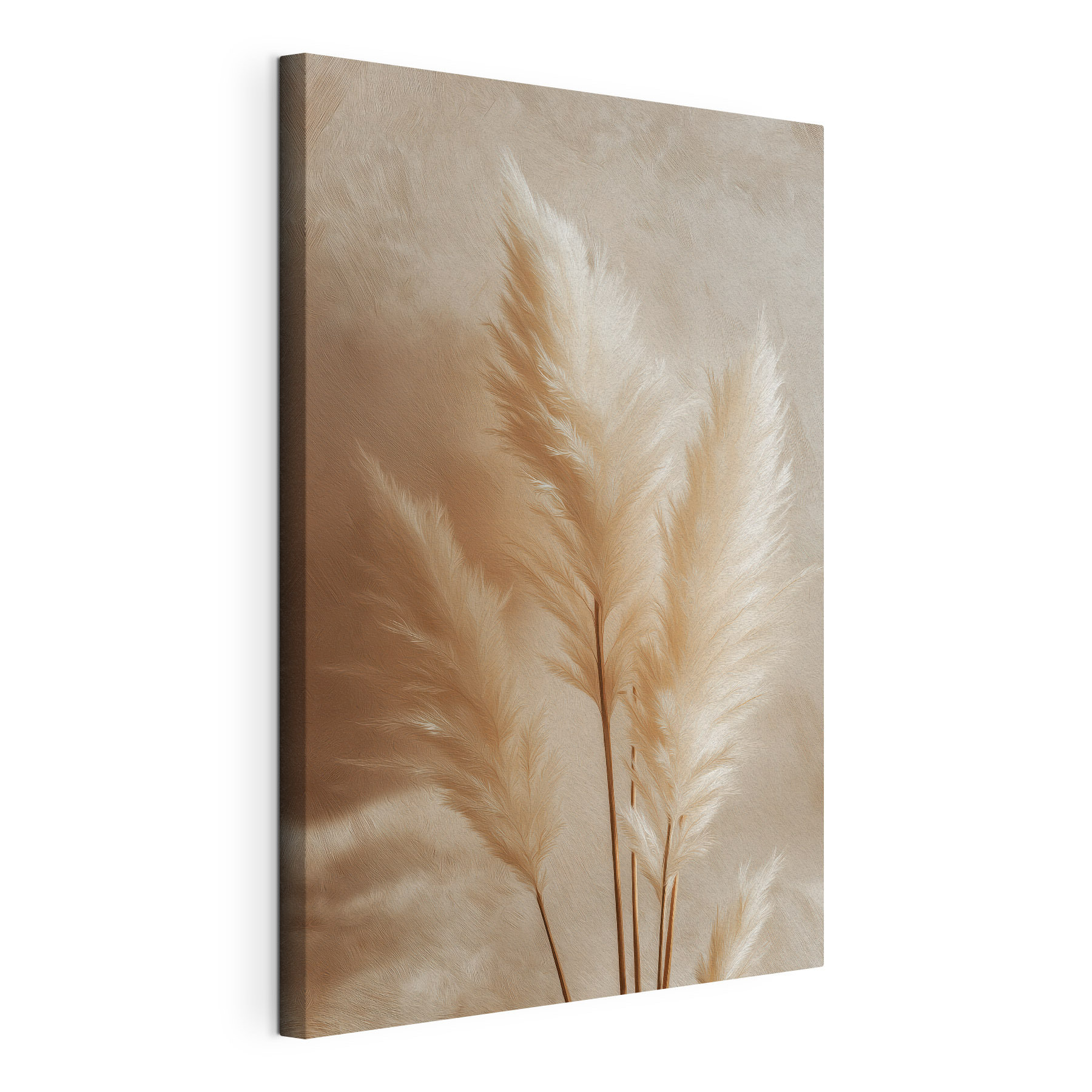 Soft feathery plants in warm tones Soft feathery plants in warm tones