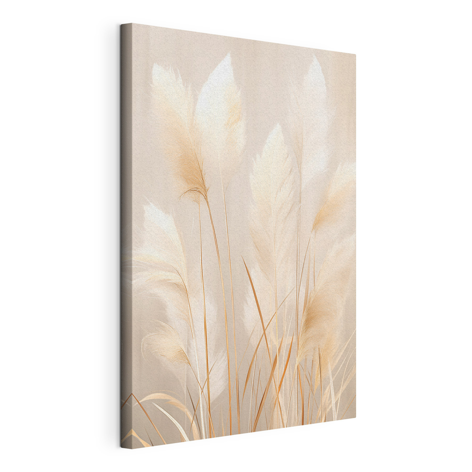 Soft plumes in gentle light
