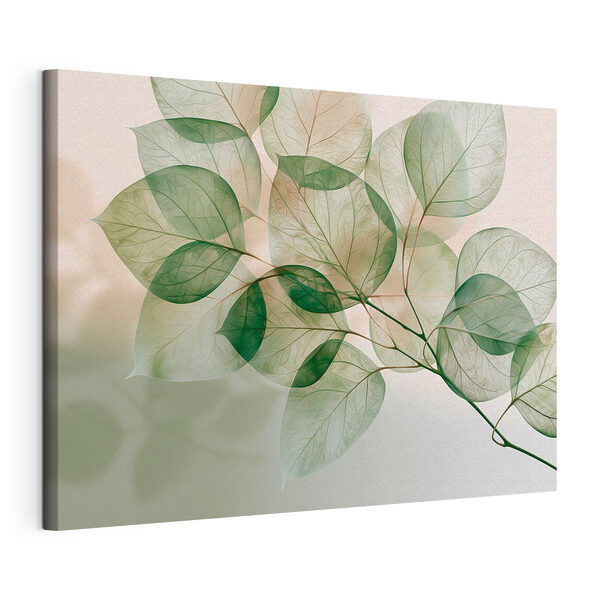Translucent leaves in soft light Translucent leaves in soft light
