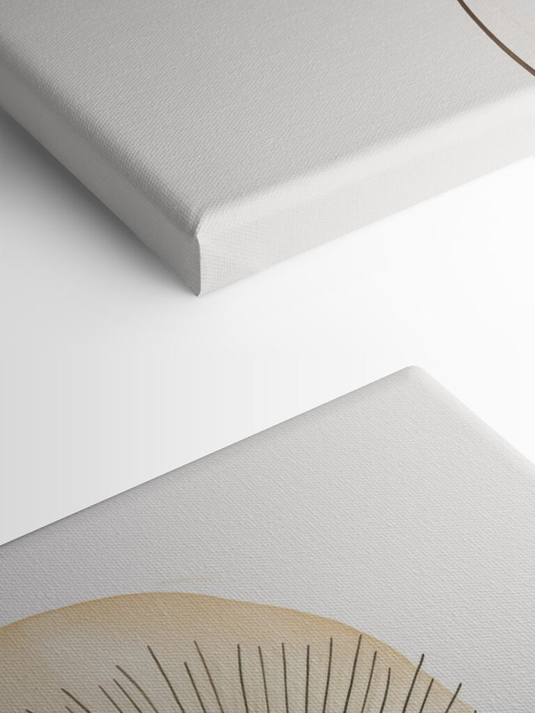 Delicate forms in soft colors