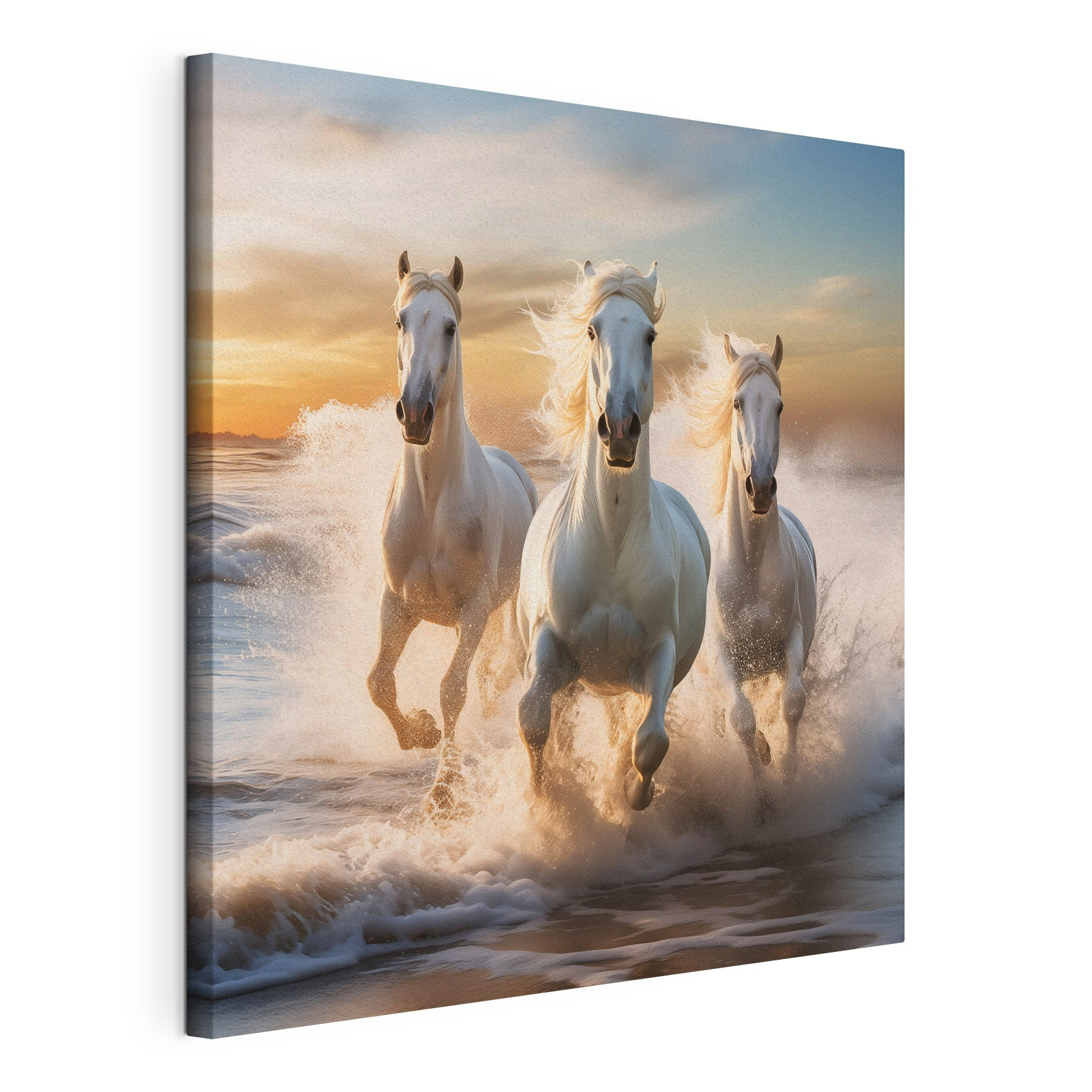 Group of white horses running on a beach Group of white horses running on a beach