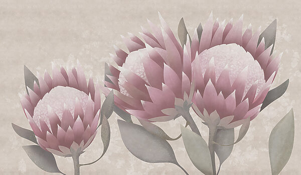 Soft petals in gentle hues Soft petals in gentle hues