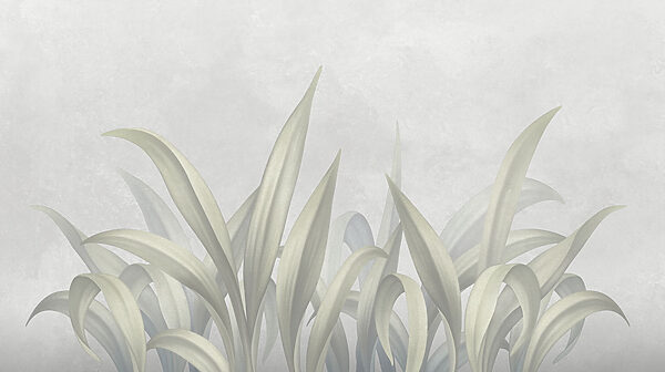 Delicate leaves on a soft background Delicate leaves on a soft background