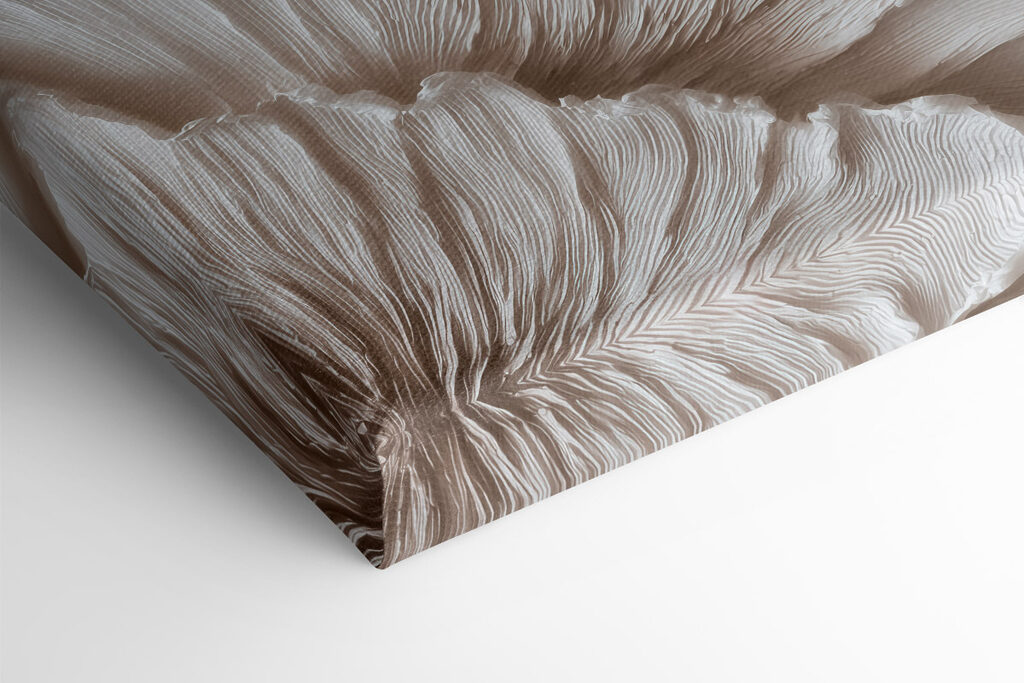 Elegant layers of textured petals