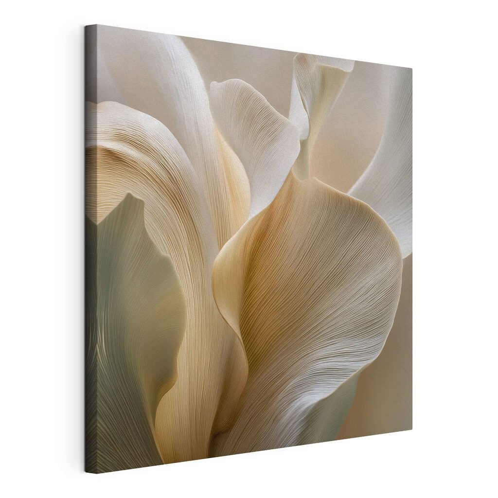 Delicate curves of nature's design