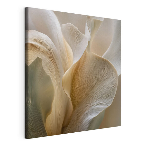 Delicate curves of nature's design