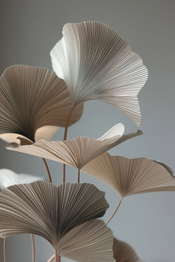 Delicate folds of nature's design