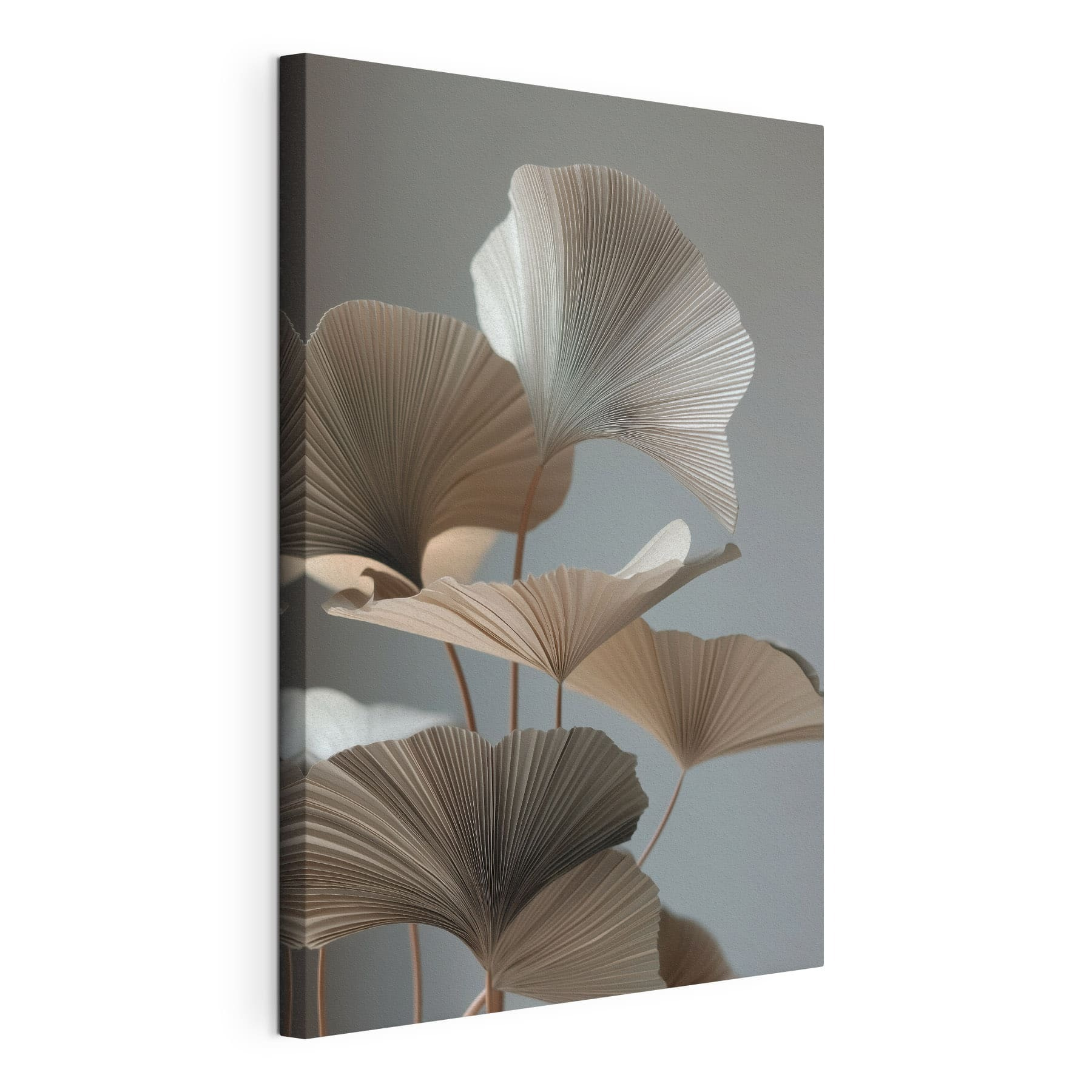 Delicate folds of nature's design