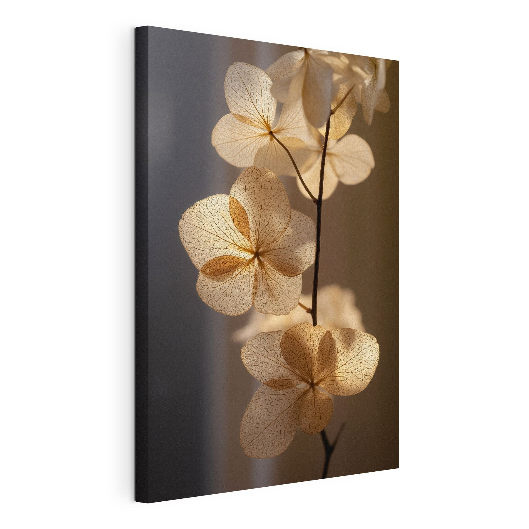 Delicate petals catching soft light