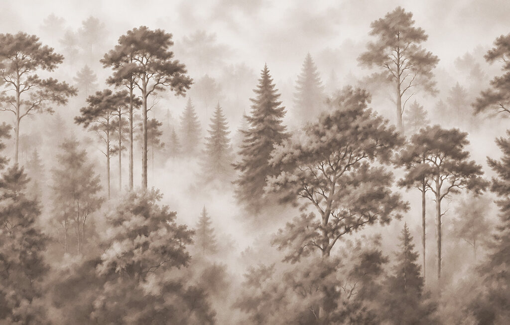 Foggy forest with trees Foggy forest with trees