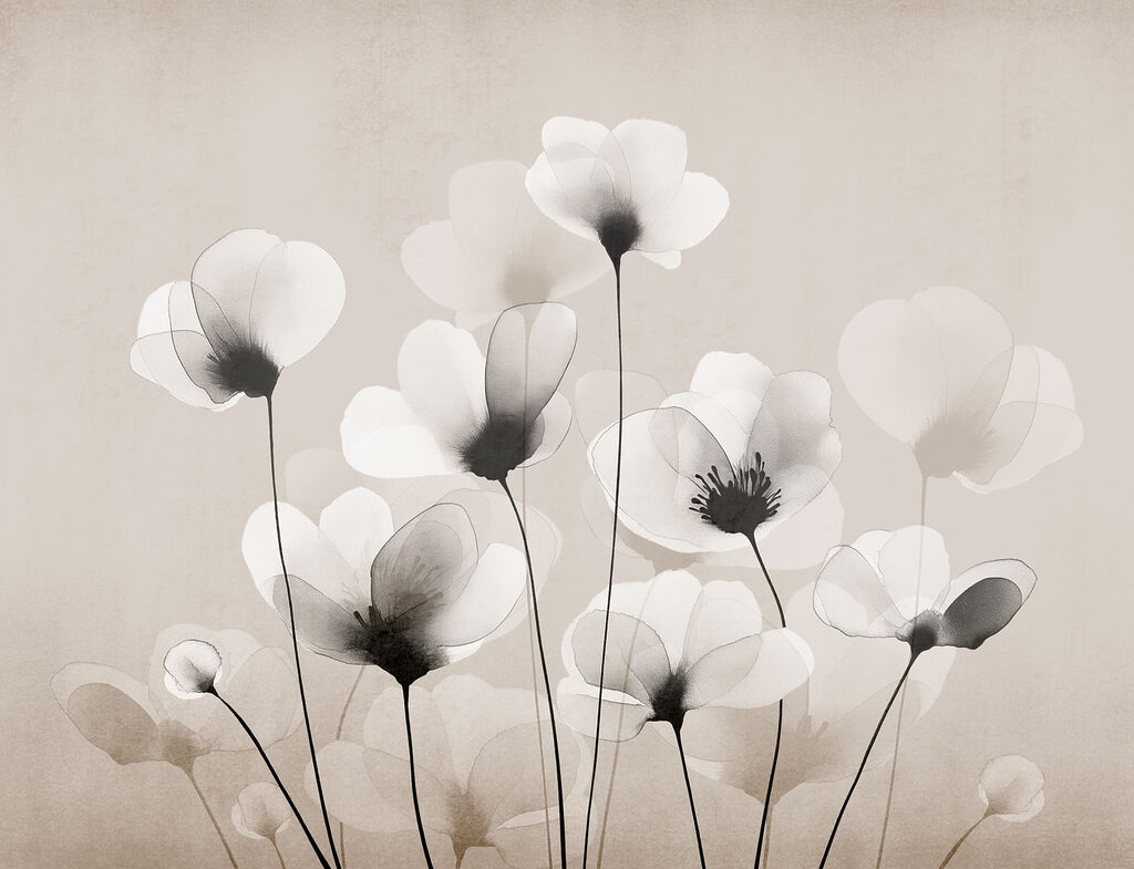 Group of white flowers