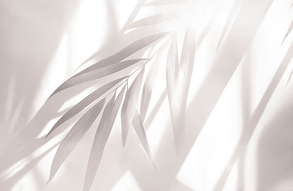 Soft shadows of leaves in daylight