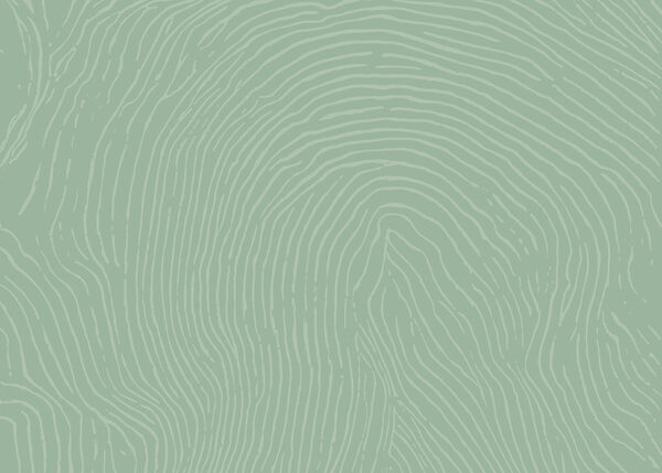 Green and white pattern
