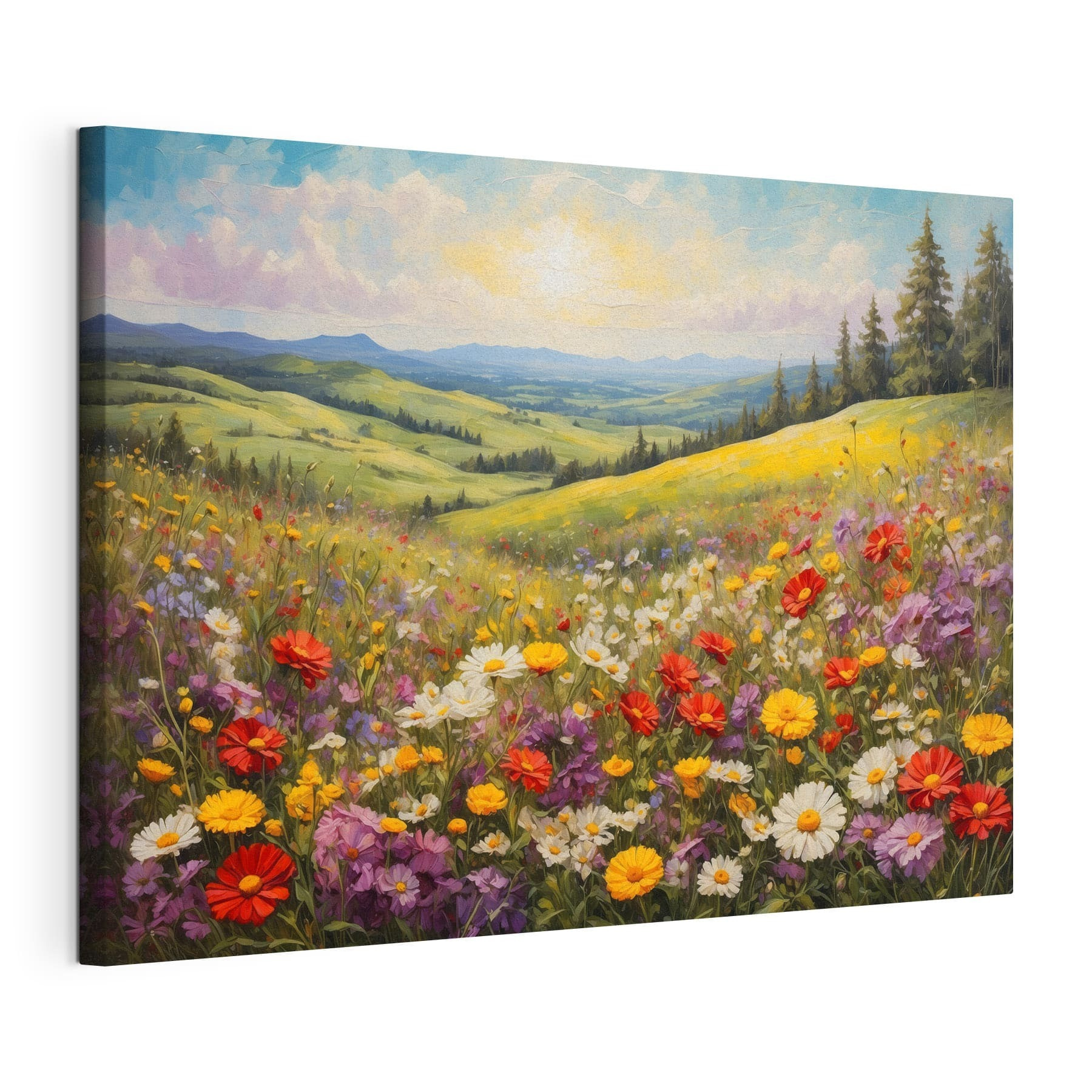 Field of colorful flowers